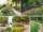 Sensory Plants for Calming Outdoor Corners
