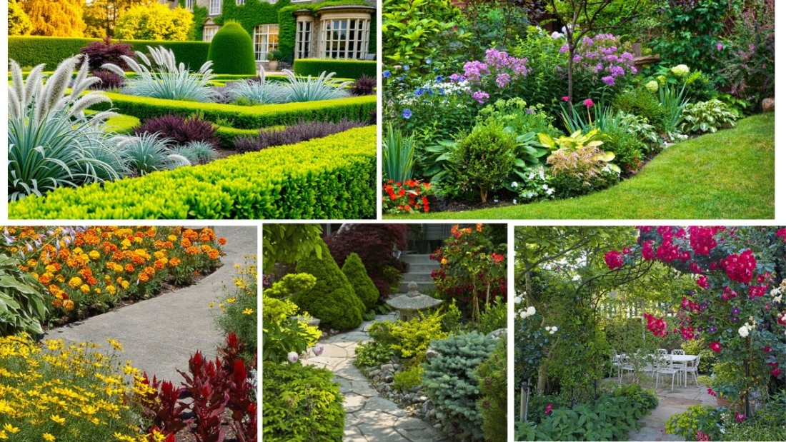 Aromatic Shrubs for Pathway Borders