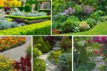 Aromatic Shrubs for Pathway Borders