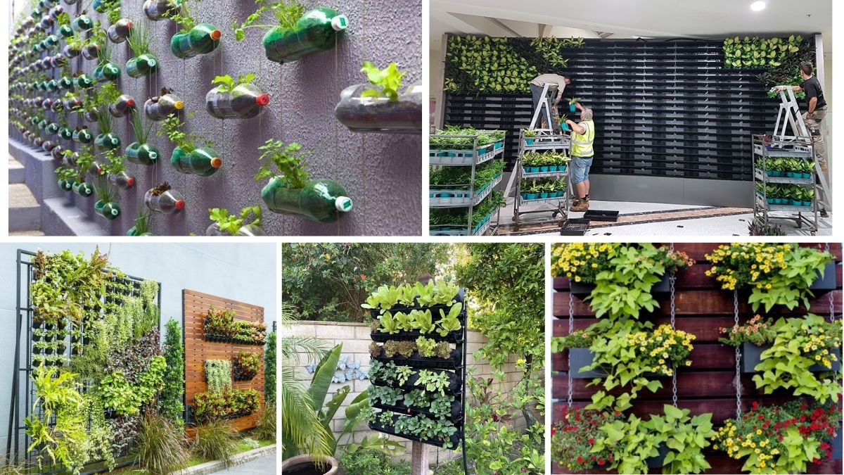 How to Build a Vertical Garden at Home