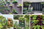 How to Build a Vertical Garden at Home