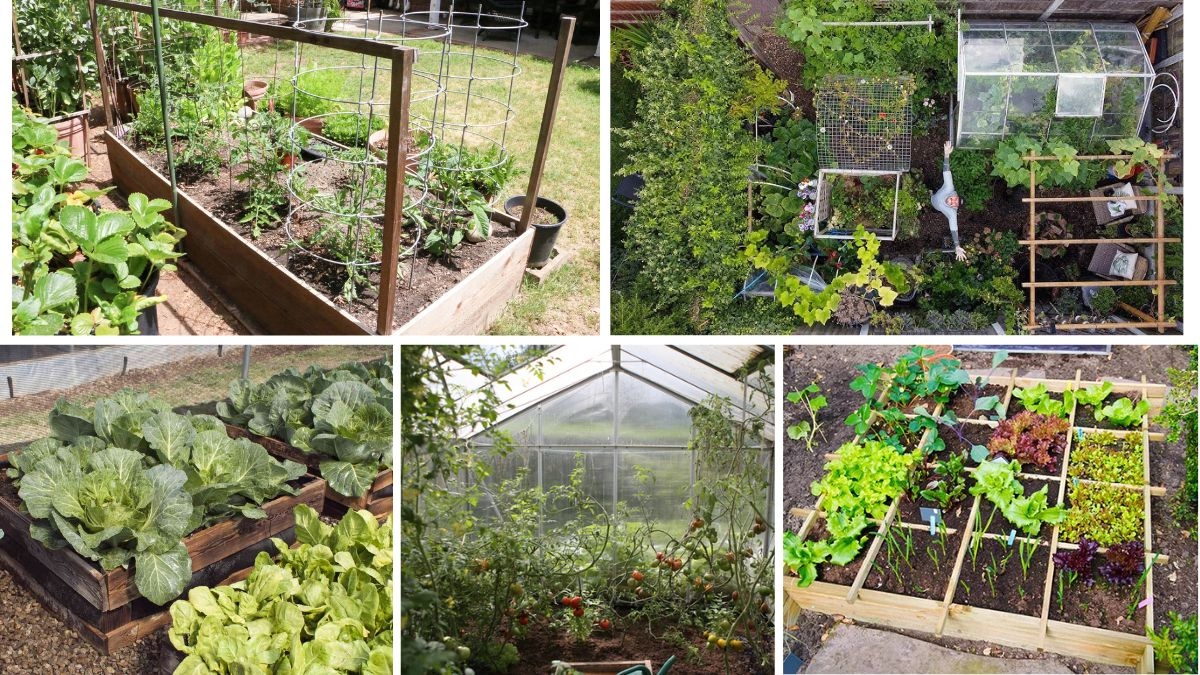 How to Start a Zero-Waste Garden