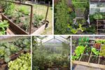 How to Start a Zero-Waste Garden
