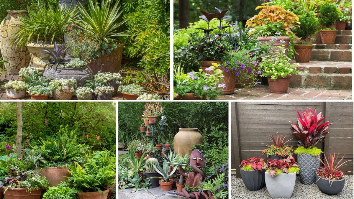 Beautiful Container Planting Ideas for Every Season