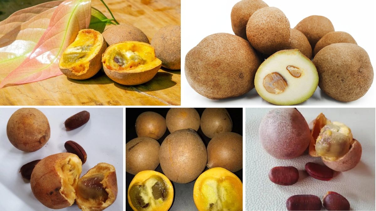 Which Country is the Largest Keppel Fruit Producer?