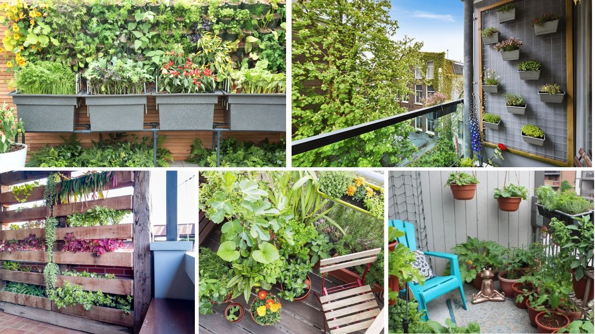 How to Grow a Vertical Garden on Your Balcony