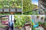 How to Grow a Vertical Garden on Your Balcony