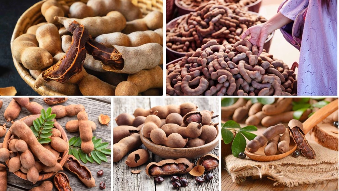 Top Countries Producing Tamarind