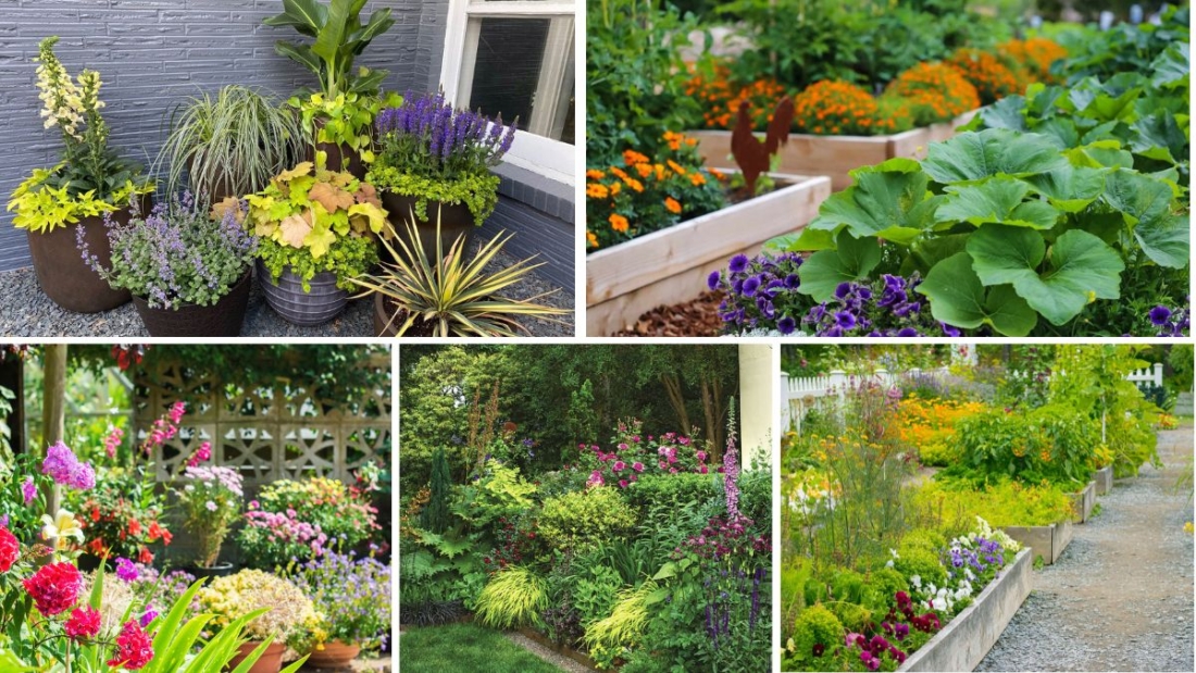 How to Arrange Plants for a Balanced Garden Look