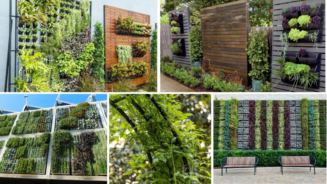 Complete Guide to Building a Vertical Garden