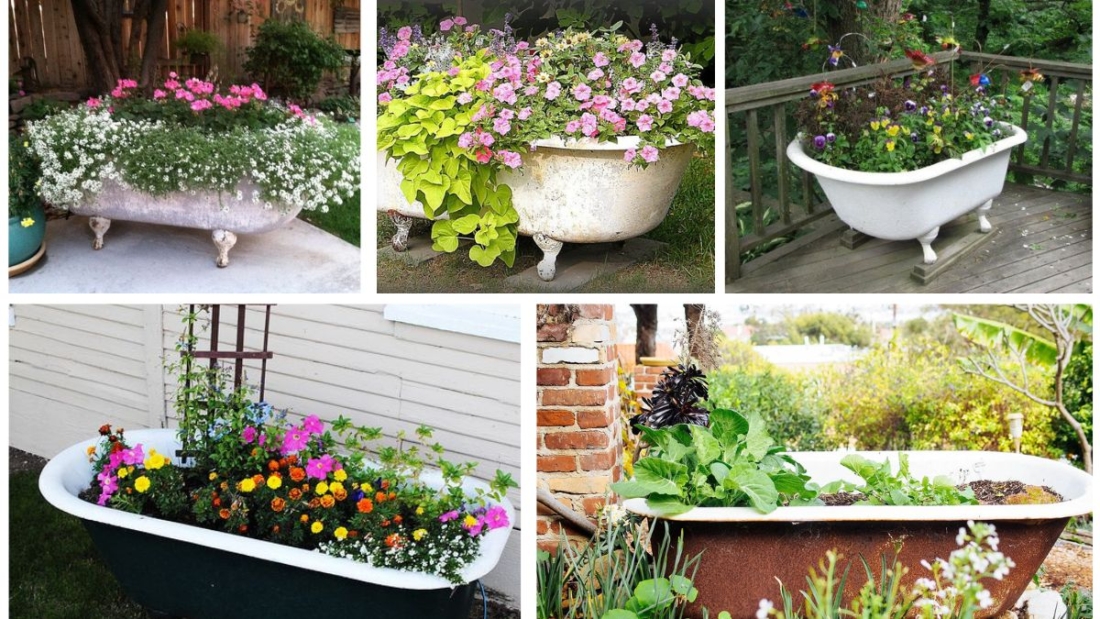 Bathtub Flower Beds That Add Vintage Charm