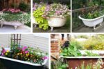 Bathtub Flower Beds That Add Vintage Charm