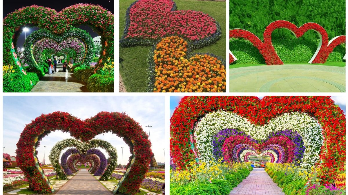 Heart-Shaped Flower Beds That Add Romance