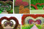Heart-Shaped Flower Beds That Add Romance