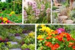 Mixed Herb-and-Flower Beds for Beauty and Flavor