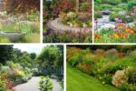 Pollinator-Friendly Flower Bed Designs