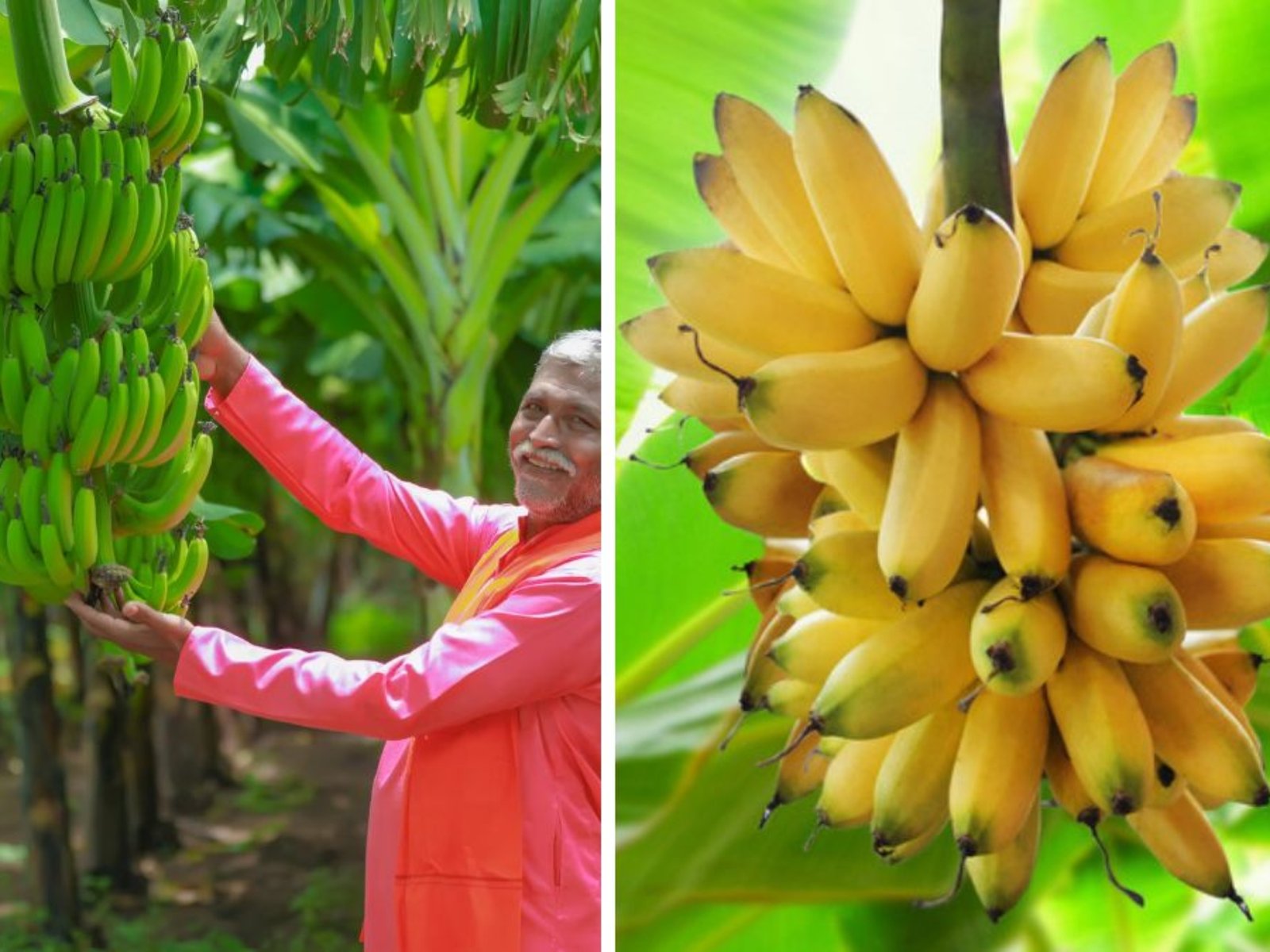 Which Country Is the Largest Banana Producer Globally?