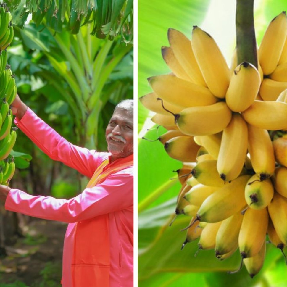 Which Country Is the Largest Banana Producer Globally?